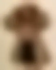 Foto van nalphes38052