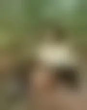 Foto van lavilaa
