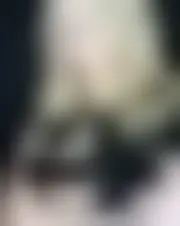 Foto av lisa11049