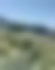 Foto di reynacc123