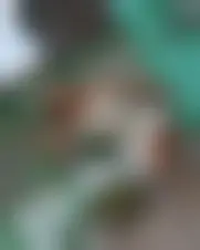 Foto de munadiah14442