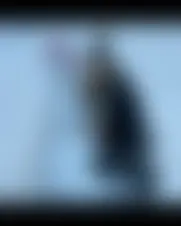 Foto van belle-douce