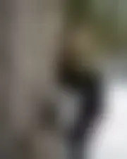 Foto di helenebouvet01