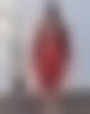 Foto af alea23343402