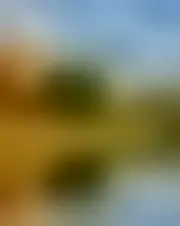 Foto av pohasiel25974
