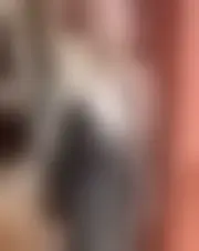 Photo of androberoth484258448