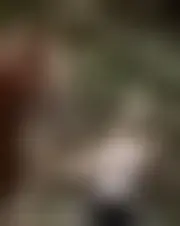 Foto av marianeange57