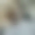 Chat with  abasius87458