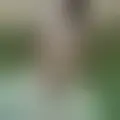 Chat with  antoni1212
