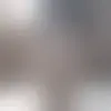 Contato cacsdf4268