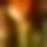 Chat with celib1124_24