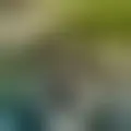 Discutere con chafik97
