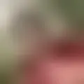 Chat with  ebbebebbe10
