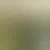 Profil von gauchoferreira88