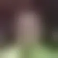 Chat with  jose-antonio2551