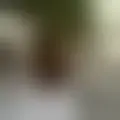 Chat with  lord3675