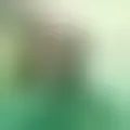 Chat with  margel