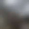 Chat with  pohasiel91507