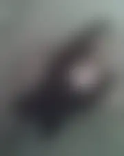 Foto av cynthia27