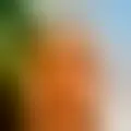 Discutere con abadres70374