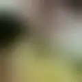 Discuter avec alexis61
