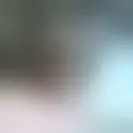 Discutir com aroth66251