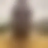 Chatten Sie mit black29122025