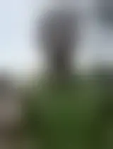 Foto von Brainiac23