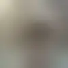 Chat with Channel5656 and singles near lake-stevens