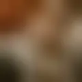 Chat with  fblanspciglanspc