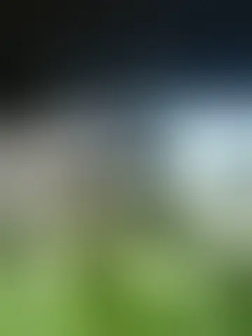 Chat with javiah81533 and singles men in normal