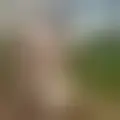 Discutir con jehuaiah6024
