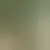 Profil av jenna23