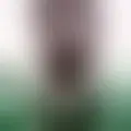 Chat with  johnny2487