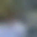 Chat with  leo9432