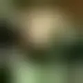 Discutere con lowkeyy52