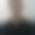 Discuter avec marcos_sc