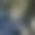 Chat with  mynor818