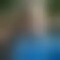Diskutera med paheuaiah73402