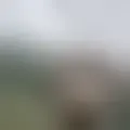 Chatten mit  rame594