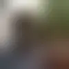Kontakt rastaseatsdoggs