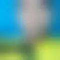 Chat with  sandra977
