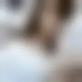 Chat med valentina22