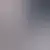 Profil af yudelka
